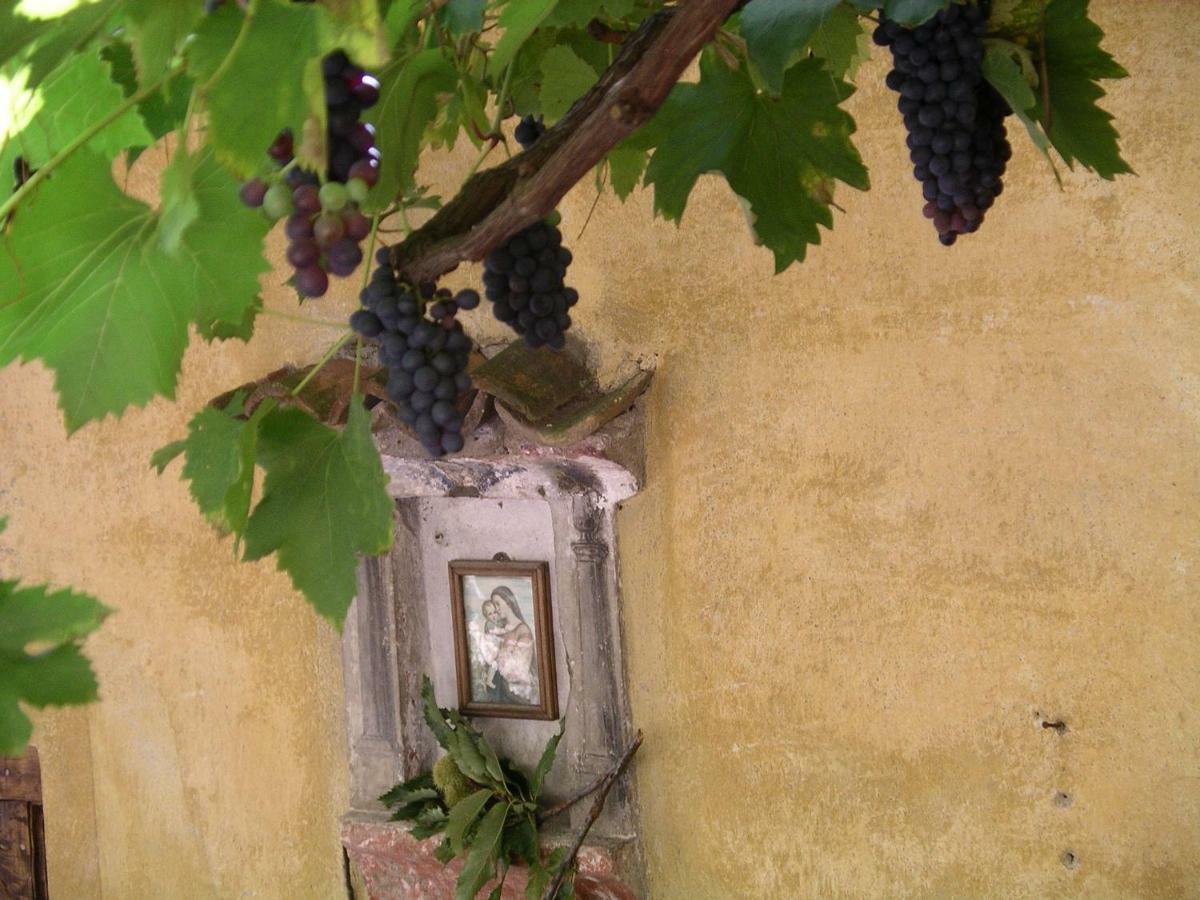 Willa Casa 1659 - Casa Parrucchiere Gandria Zewnętrze zdjęcie
